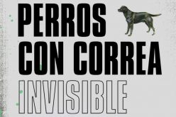 Perros con correa invisible