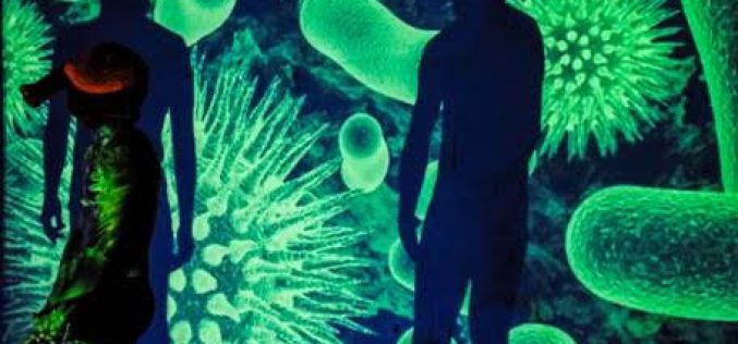 Carne argentina. Preludio para un cyborg de las pampas