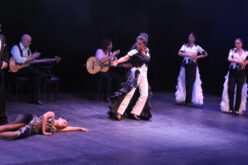 Ciclo de flamenco