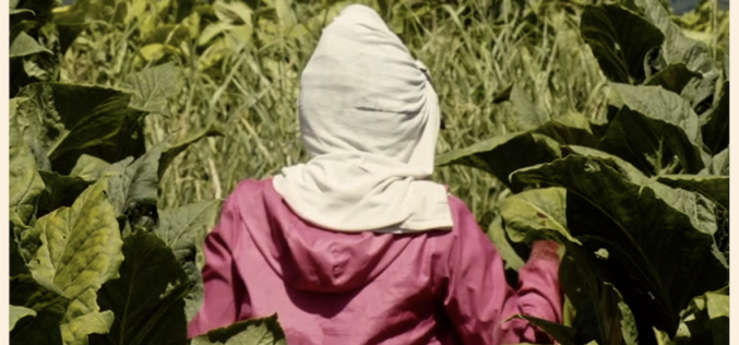 Wacay, mujeres del tabacal