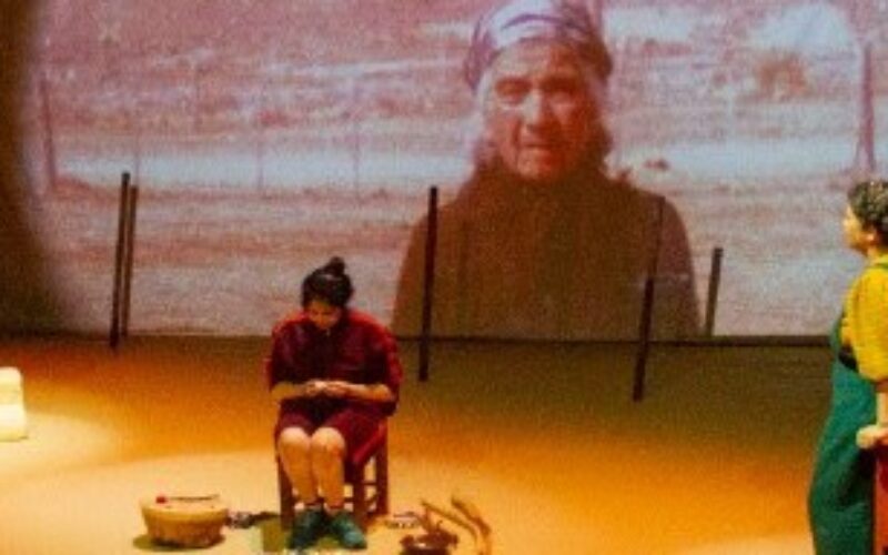El Alambrado. Biodrama de una familia mapuche