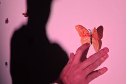 Las nenas también son mariposas