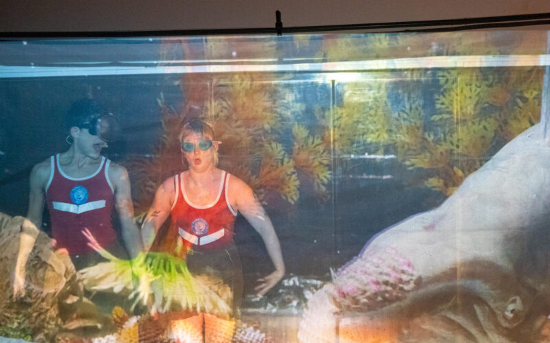 Noa, Nu y la ballena