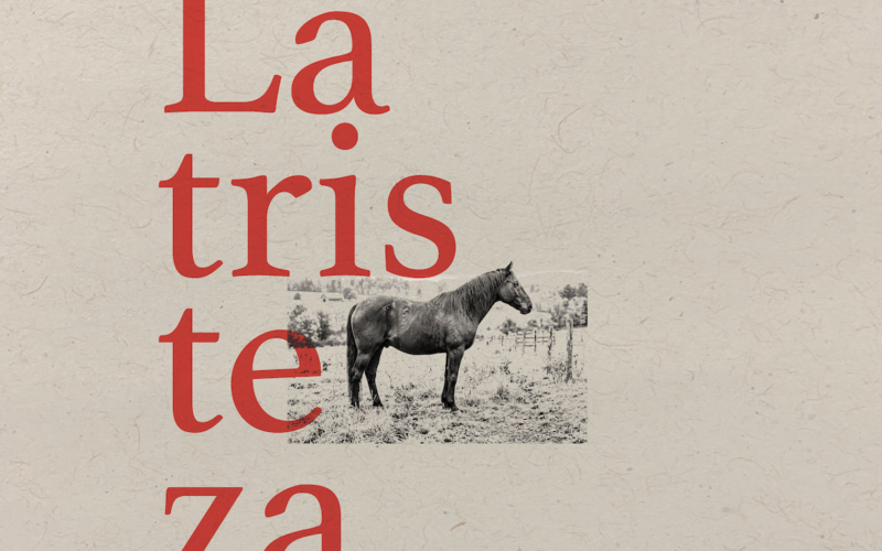 La tristeza