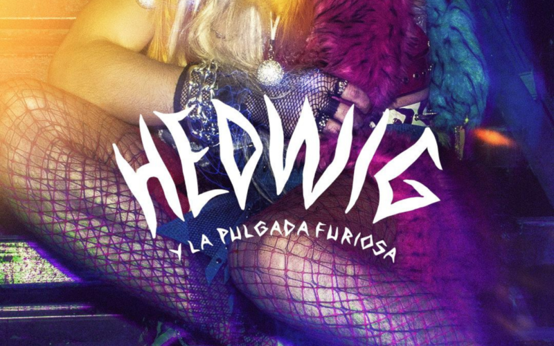 Hedwig y la pulgada furiosa